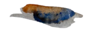 Récit & Couleur