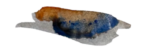 récit et couleur